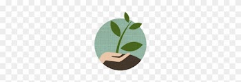 For Us It Is Essential To Cultivate A Product That - Placemat