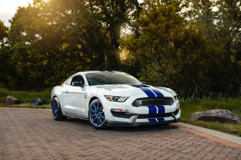 Ford Mustang GT350 in Colorado 
