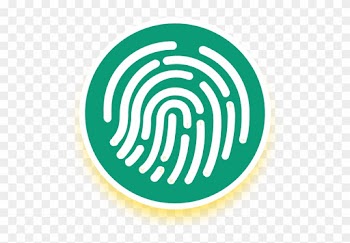 Forensic Accountants Must Be Knowledgeable With Various - Icon