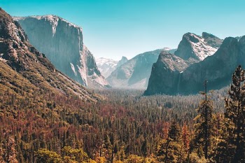 forest and mountain scenery