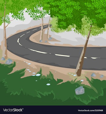 Forest and road vector image