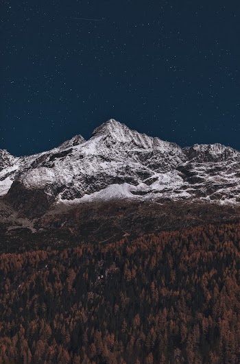 Forest And Snow Covered Mountain