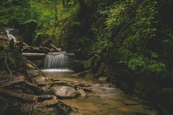 Forest and Water Falls Landscape Photo