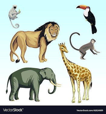 forest animals