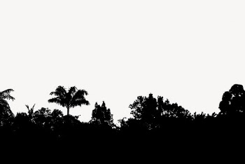 Forest border silhouette, nature illustration | Free Photo - rawpixel