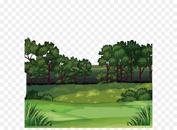 Forest Clip art - Jungle scenery 