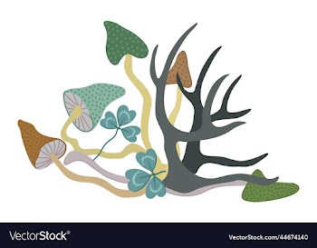 forest composition