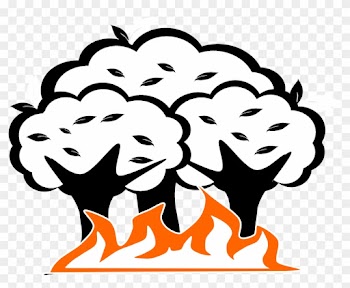 Forest Drawing Cliparts - Natural Disaster