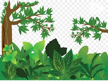 Forest Euclidean vector - Green jungle vector 