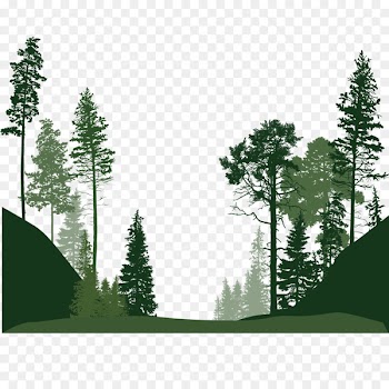 Forest Euclidean vector Tree - Forest trees 