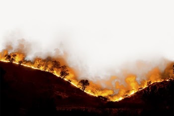 Forest fire border collage element, | Free PSD - rawpixel