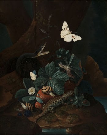 Forest floor still life, 1735 | Free Photo - rawpixel
