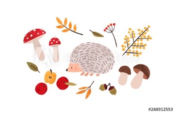 Forest flora and fauna hand drawn vector illustration