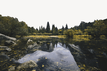 Forest lake border collage element | Free PSD - rawpixel
