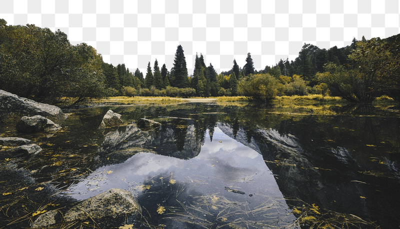 Forest lake png border, transparent | Free PNG - rawpixel