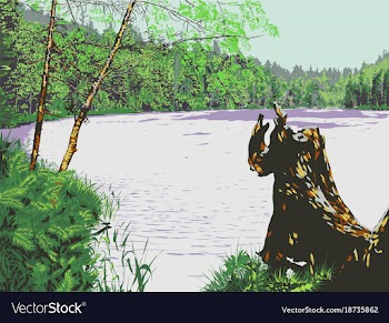 Forest lake vector image