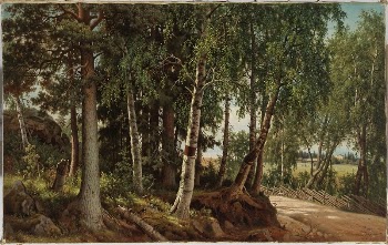 Forest landscape from haminalahti, 1880, | Free Photo - rawpixel