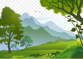 Forest Landscape Photography Illustration - Vector Forest 