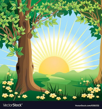 Forest Landscape vector image