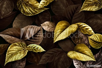 Forest leaves backdrop