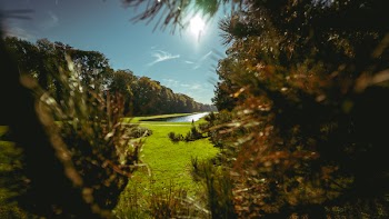 Forest Near Body of Water