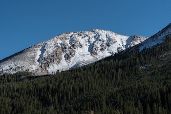 forest near snow cap mountain under blue sky at daytime