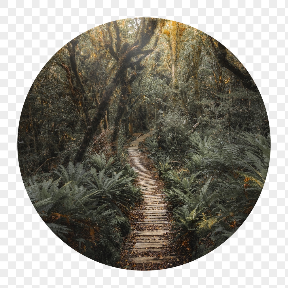 Forest pathway png badge sticker, | Free PNG - rawpixel