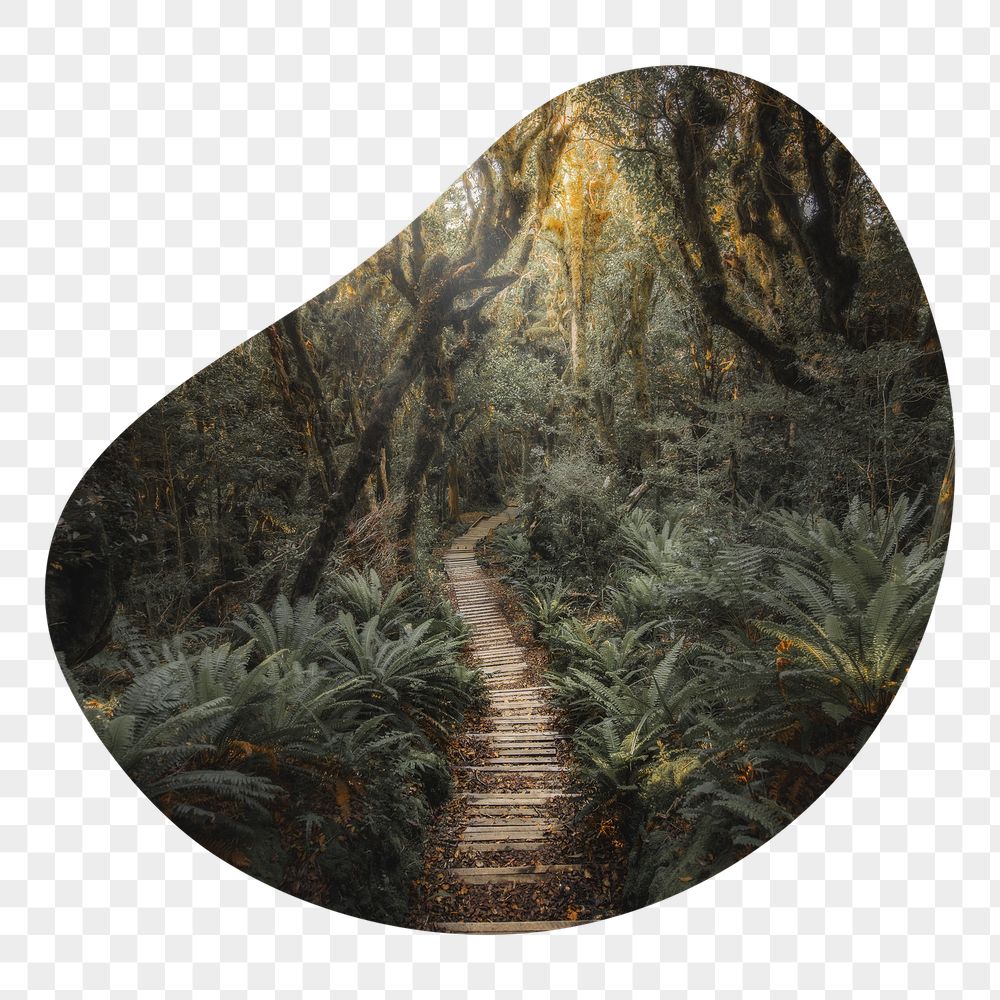 Forest pathway png badge sticker, | Free PNG - rawpixel