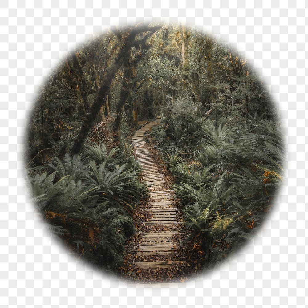Forest pathway png badge sticker, | Free PNG - rawpixel