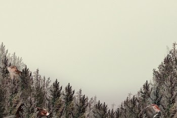 Forest pattern border with blank space on beige background