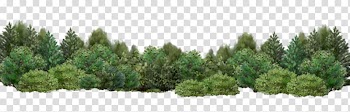 Forest range graphic, Tree Shrub Garden Desktop , Shrub Bushes transparent background PNG clipart