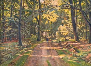 Forest road near Dyrnæs | Free Photo - rawpixel
