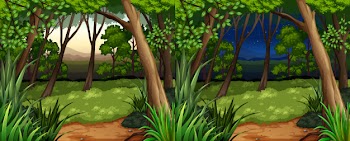 Forest scene at daytime and nighttime Free Vector