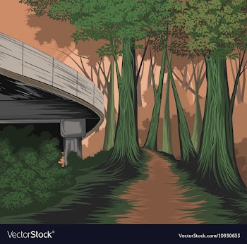 Forest side vector image