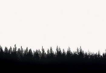 Forest silhouette border collage element, | Free PSD - rawpixel