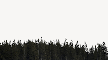 Forest silhouette border collage element | Free PSD - rawpixel