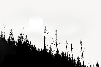 Forest silhouette border, full moon | Free PSD - rawpixel