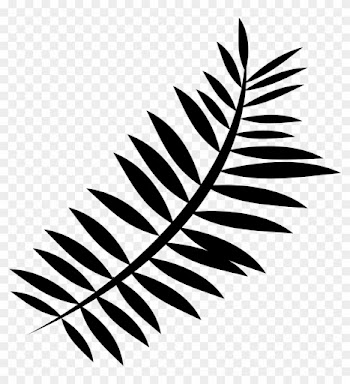 Forest, Silhouette, Nature, Fern, Plant, Green - Forest, Silhouette, Nature, Fern, Plant, Green