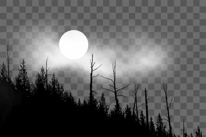 Forest silhouette png border, full | Free PNG - rawpixel