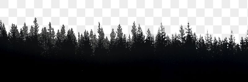Forest silhouette png border sticker, | Free PNG - rawpixel