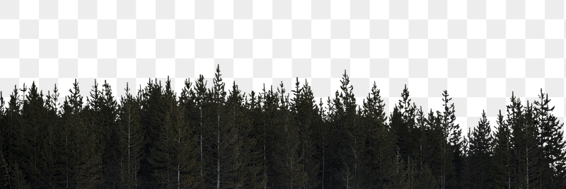 Forest silhouette png border sticker, | Free PNG - rawpixel