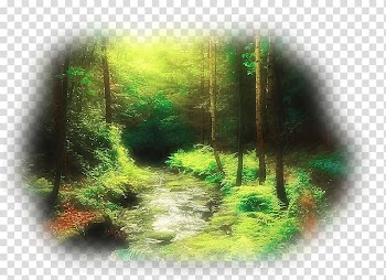 Forest Tree Desktop , forest transparent background PNG clipart