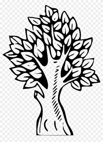 Forest, Tree Forest Nature Landscape Environment W - Scp Serpent's Hand