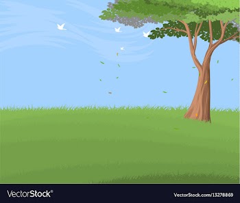Forest tree vector image