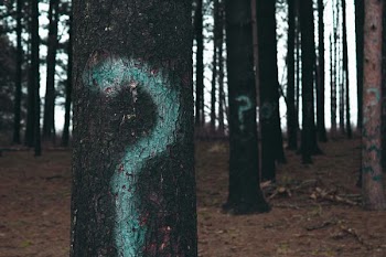forest trees marked with question marks