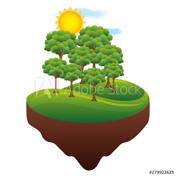 forest trees sun ecology landscape