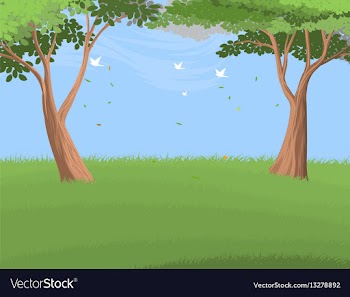 Forest trees vector image