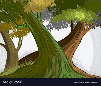 Forest vector image