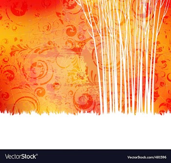 Forest vector image