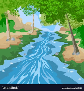 Forest vector image